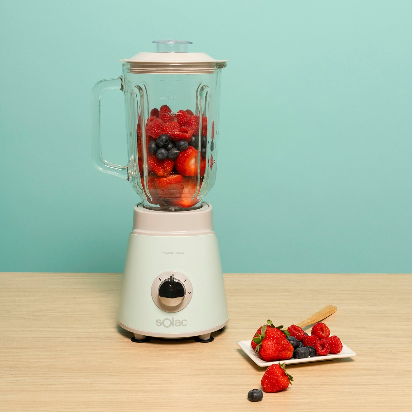 ProMixter 1000