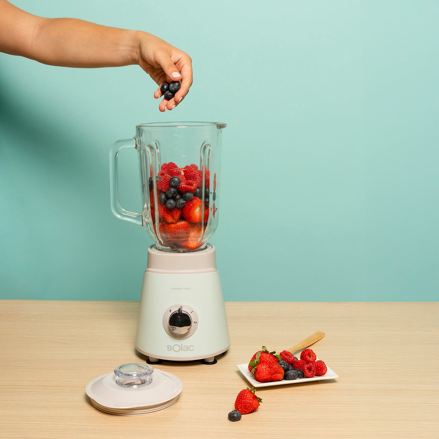 ProMixter 1000