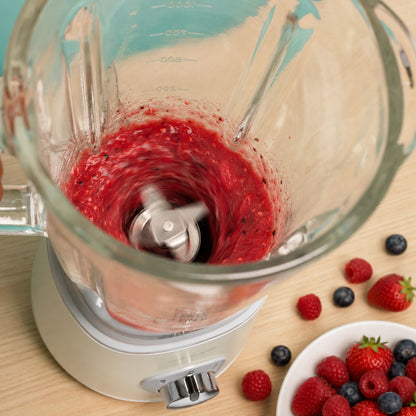 ProMixter 1000